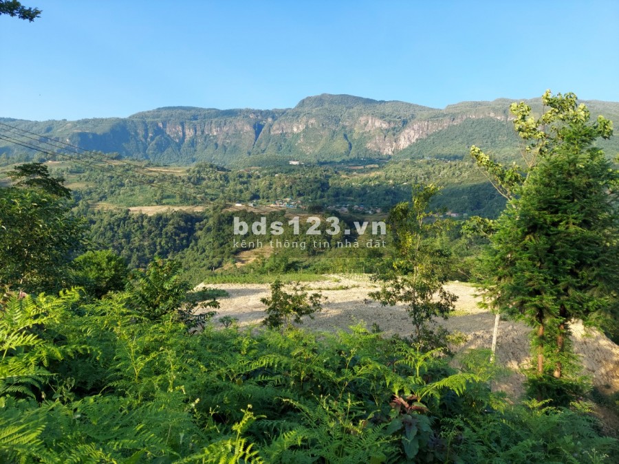 Bán mảnh 1200m2 Thôn Sín Chải – Ytý (SaPa 2)