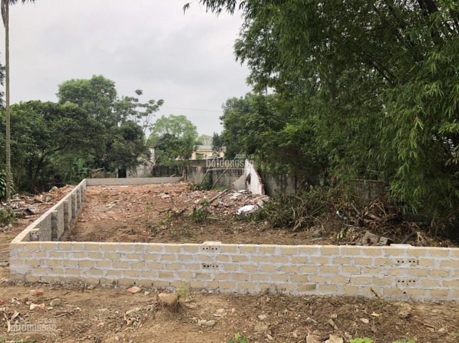 Chính chủ bán mảnh đất tại Tân Phú, Sơn Đông, Sơn Tây.