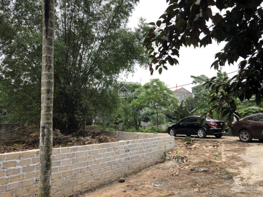Chính chủ bán mảnh đất tại Tân Phú, Sơn Đông, Sơn Tây.