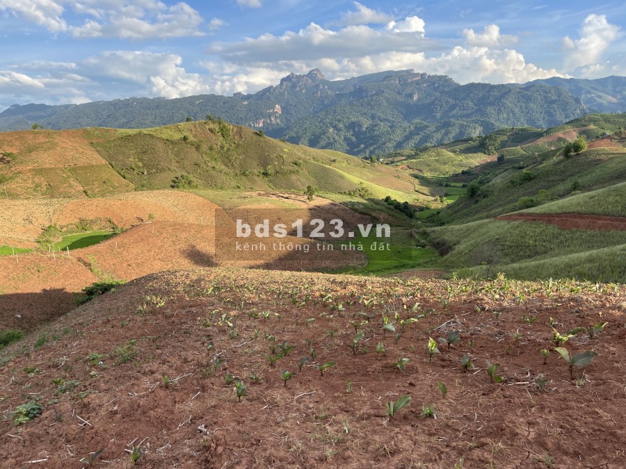 Mảnh đất cực rộng view khủng khoảng 7ha trên trục đường vào cửa khẩu quốc tế Lóong Sập. 0822356688