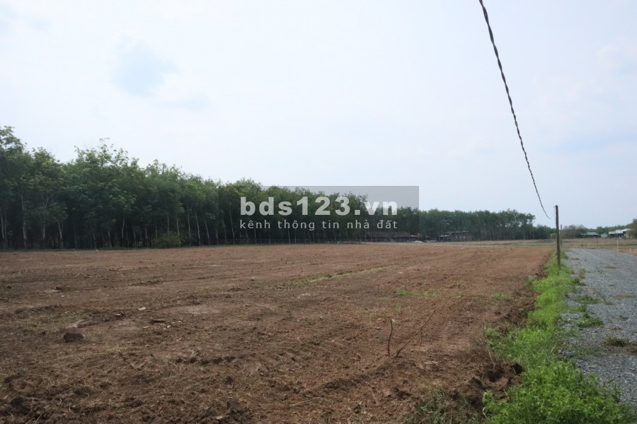 Chính chủ cần bán gấp đất nền có thổ cư Bình Phước giá rẻ