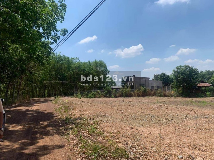 Bán đất thị xã Bình Long giá rẻ chỉ 360tr/1000m2, liên hệ xem đất 0366211000