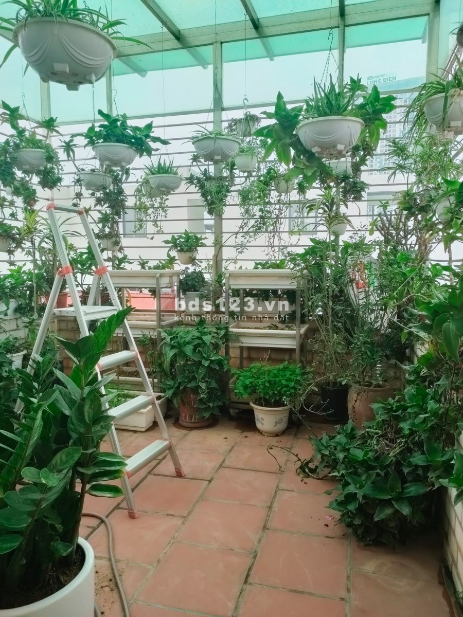 Bán nhà 5 phòng ngủ phố Thanh Đàm, Ô tô qua nhà, 60m2x4 tầng, giá 4.95 tỷ, TL mạnh.