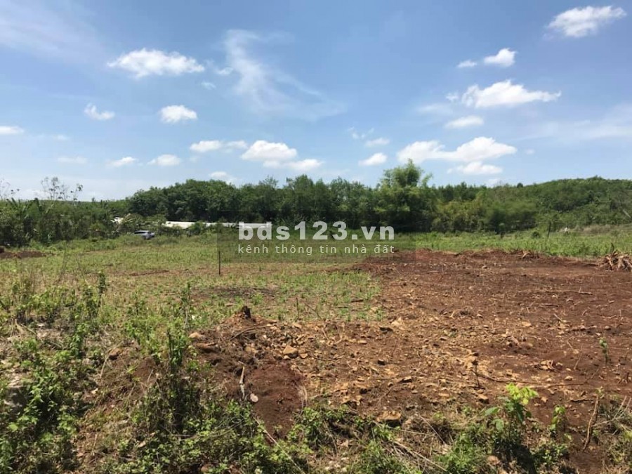 Bán đất thị xã Bình Long giá rẻ chỉ 360tr/1000m2, liên hệ xem đất 0366211000