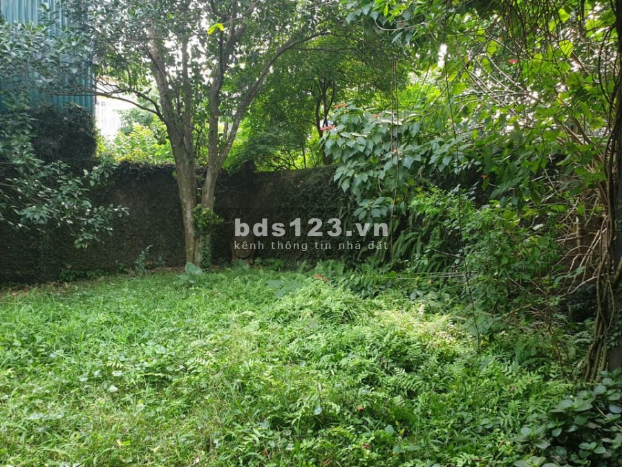 Đất Bắc Cầu, Long Biên, biệt thự bên sông, 1000m, 19.99 tỷ