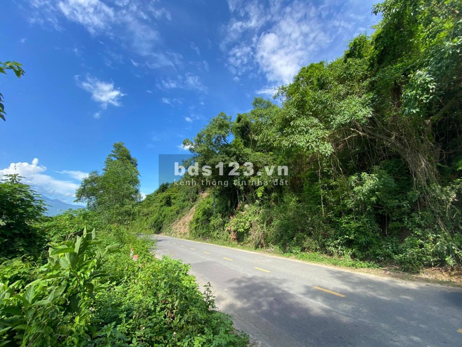 Bán đất mặt tiền Tỉnh Lộ 2 hơn 200m view Sông Cái giá rẻ LH 0788.558.552