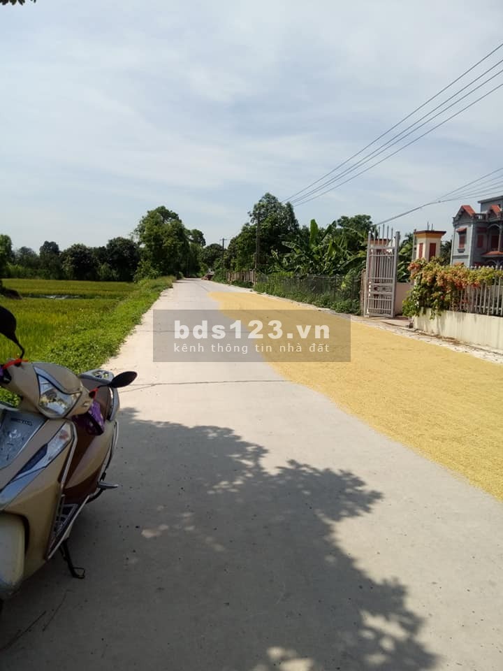 Bán đất thổ cư giá đầu tư tại Ngọc Lâm Mỹ Hào Hưng Yên, giá 7.5 triệu/m2