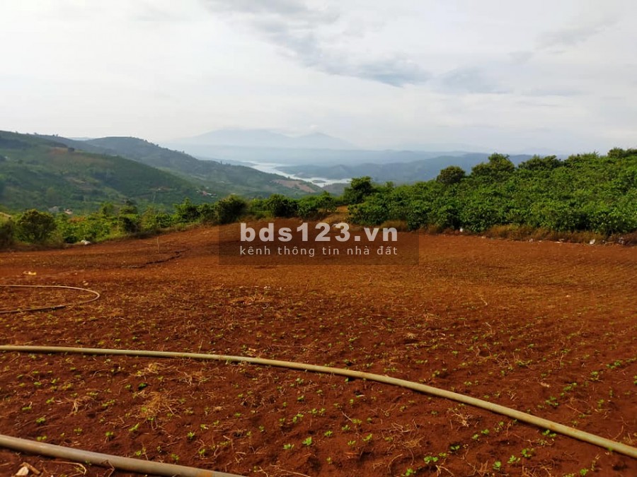 BÁN 820 M2 ĐẤT VIEW ĐỒI TÂN VĂN, LÂM HÀ GIÁ 760 TRIỆU, THƯƠNG LƯỢNG