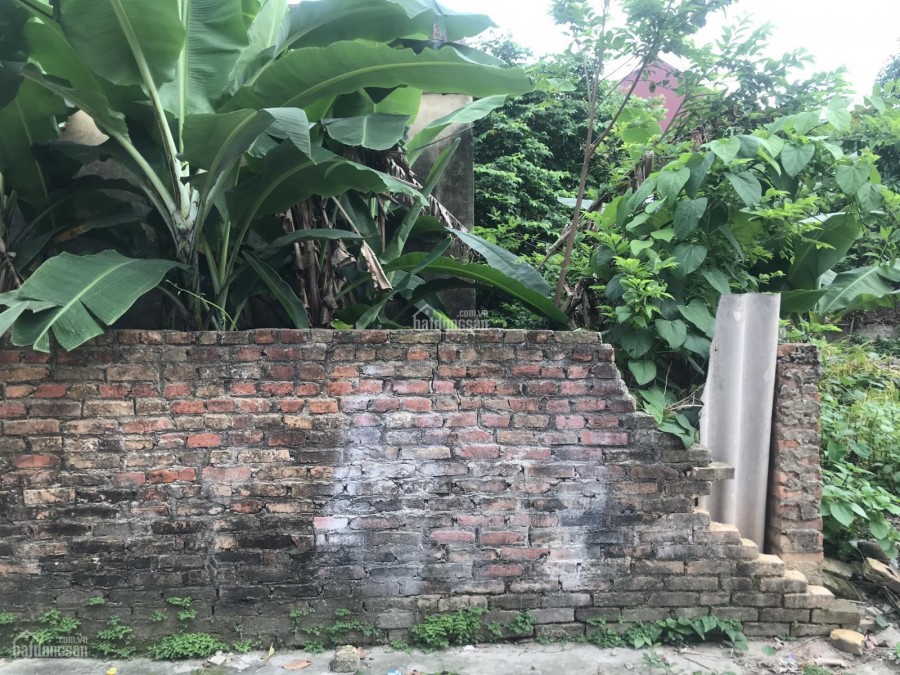 Bán mảnh đất giá yêu thương Diện tích 81m2 giá 9.5tr/m trục đường chính Bắc Thượng Quang Tiến Sóc Sơn