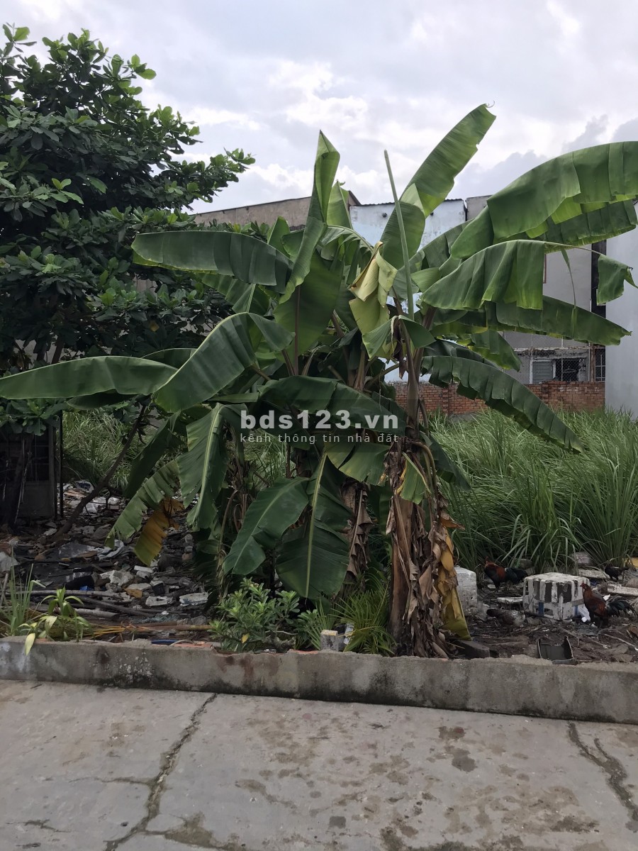 Bán lô đất đường 397 Đỗ Xuân Hợp- DT: 76m2- 3.55 tỷ