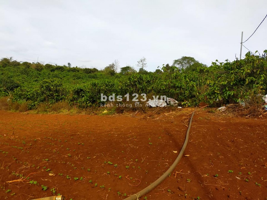 BÁN 820 M2 ĐẤT VIEW ĐỒI TÂN VĂN, LÂM HÀ GIÁ 760 TRIỆU, THƯƠNG LƯỢNG