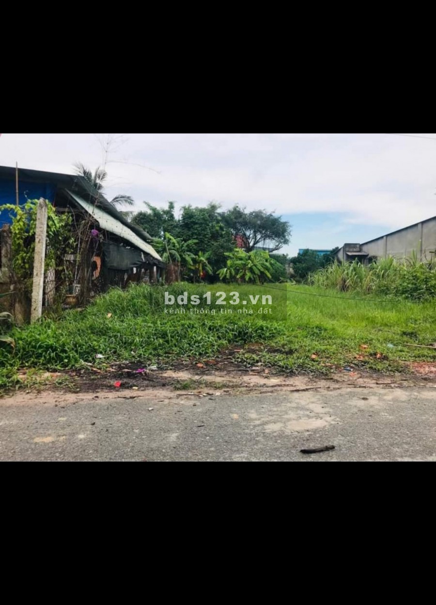 Cần ra đi gấp lô đất Củ Chi 204m2 giá 920 triệu, sổ riêng, sang tên công chứng ngay