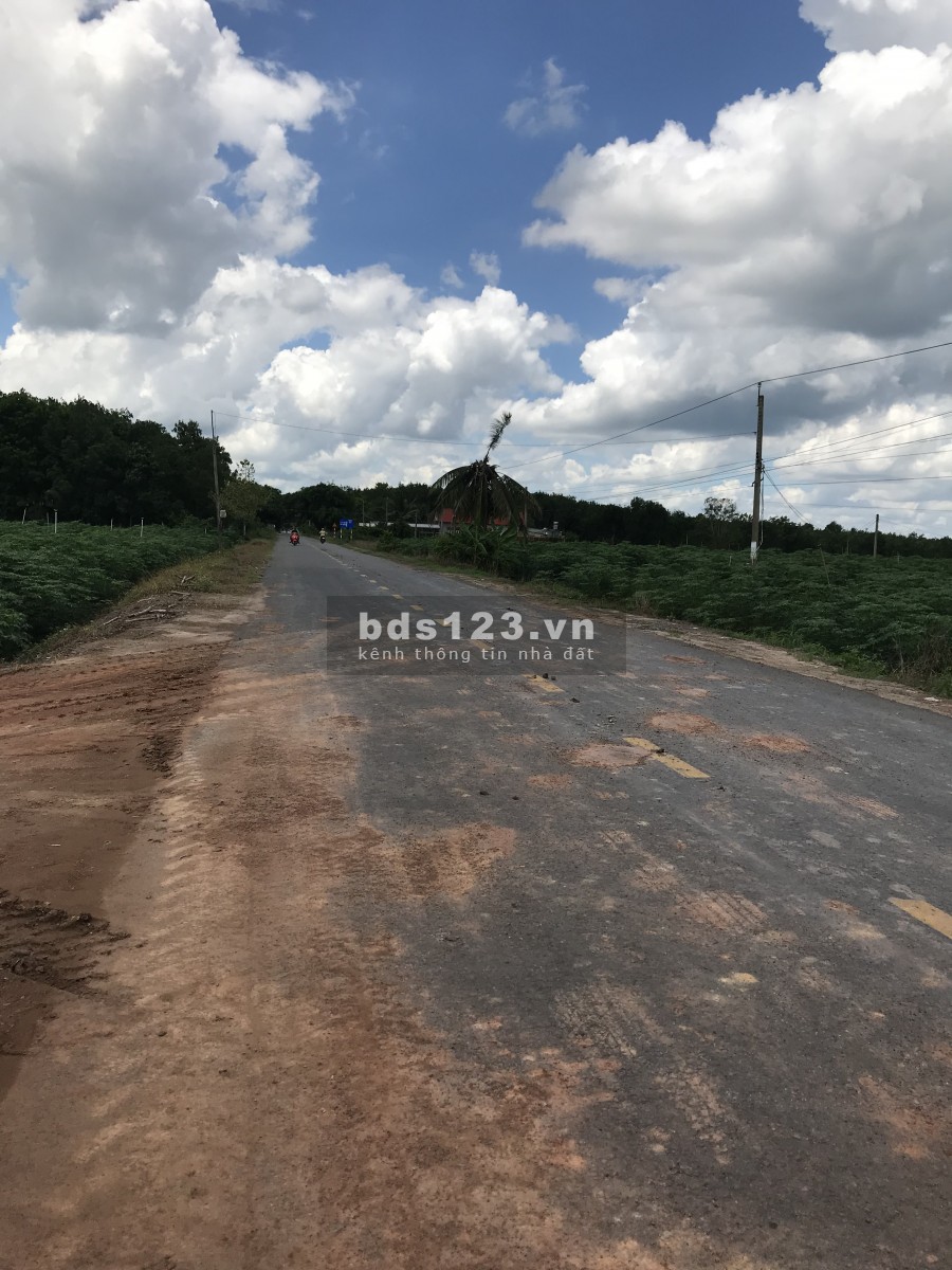 Đất giá rẻ đầu tư gần khu công nghiệp tân hội