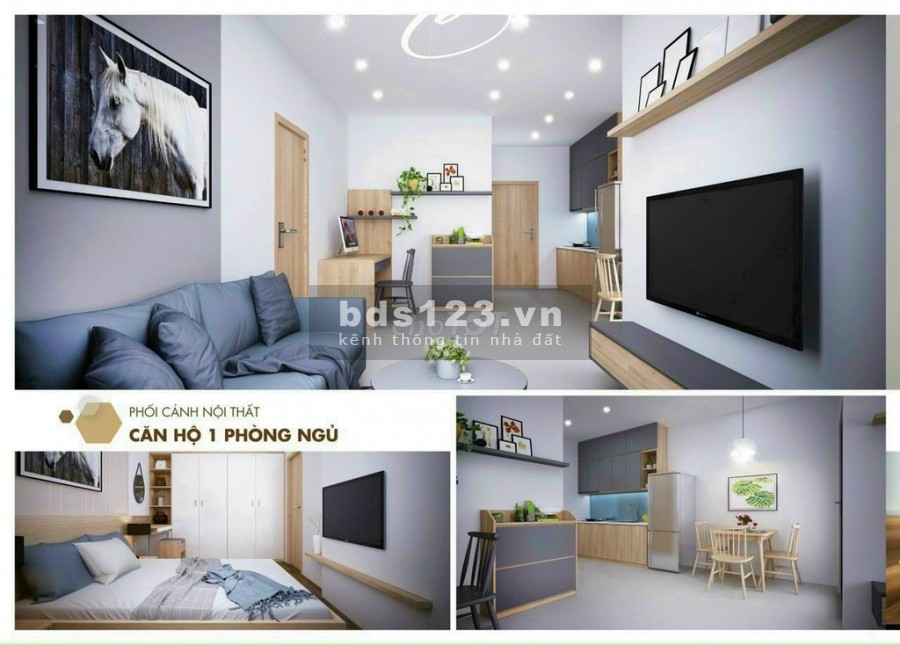 Căn Hộ Cao Cấp Trung Tâm Thuận An - Bình Dương Chỉ Với Giá 239 Triệu