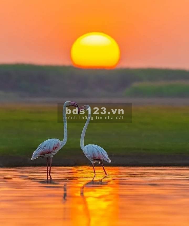 Bán nhà hẻm 20 đường Bờ Bao Tân Thắng, đi bộ ra đến siêu thị AEON