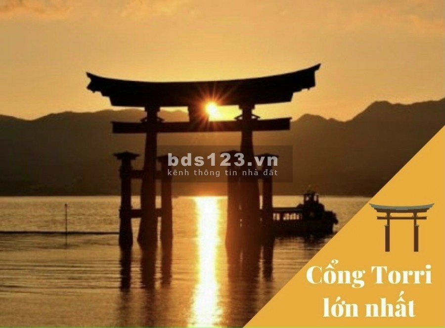Căn Hộ Trực Diện Biển Quy Nhơn Concept Thiết Kế Phong Cách Nhật Bản