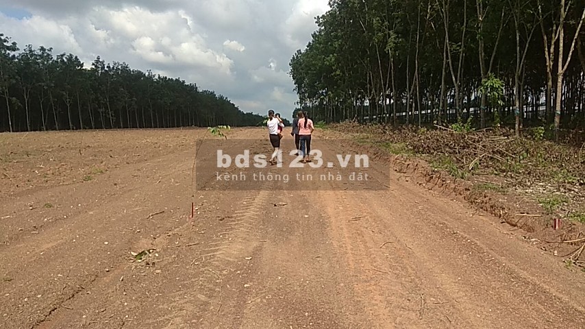 Đất nền giá rẻ Thành Phố Đồng Xoài diện tích 1000m2