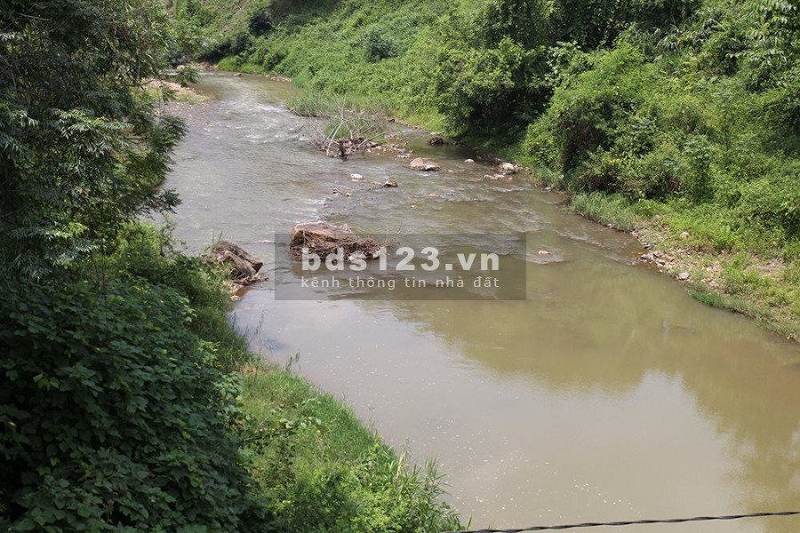 Bán đất Bình Phước giá rẻ, gần KCN, đông dân cư, 180tr/1000m2