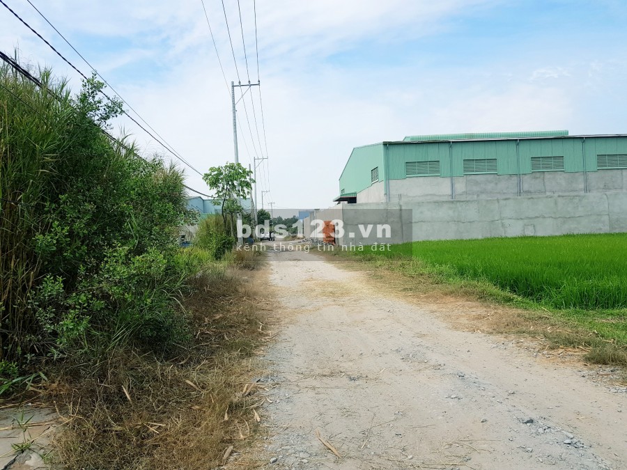 Bán đất 10x46m giá 2.55 tỷ đường xe tải, có điện 3 pha xã Đức Hòa Thượng, Đức Hòa Long An