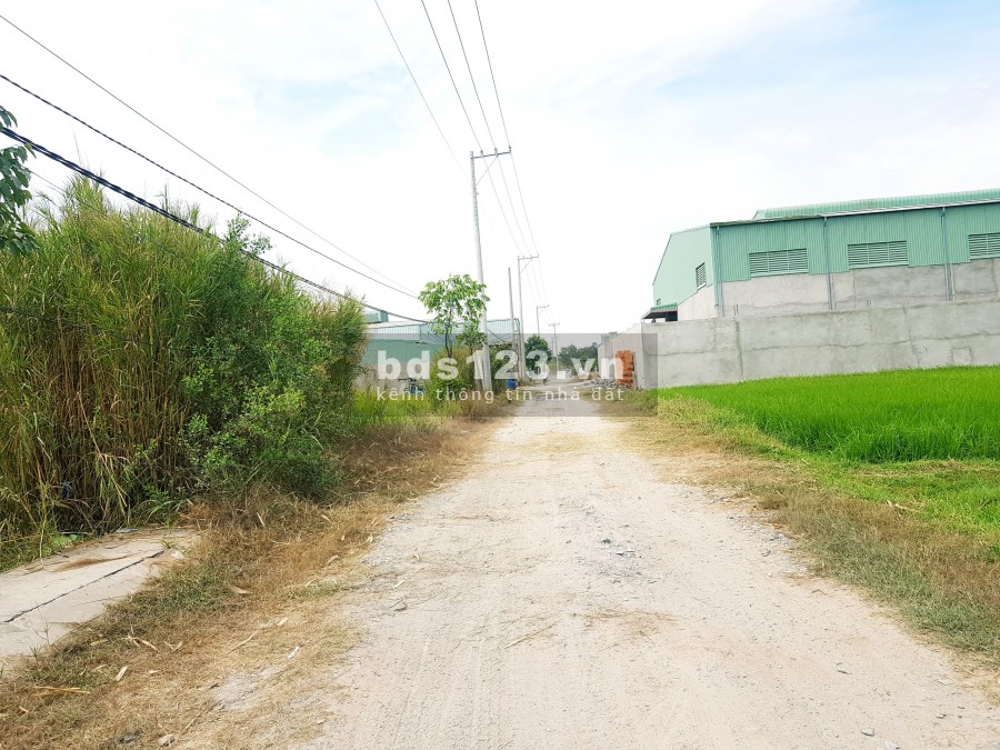 Bán đất 10x46m giá 2.55 tỷ đường xe tải, có điện 3 pha xã Đức Hòa Thượng, Đức Hòa Long An