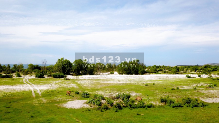 Đất TMDV 1650m2 mặt biển xã Hòa Thắng giá chỉ từ 800k/m2, sổ hồng có sẵn