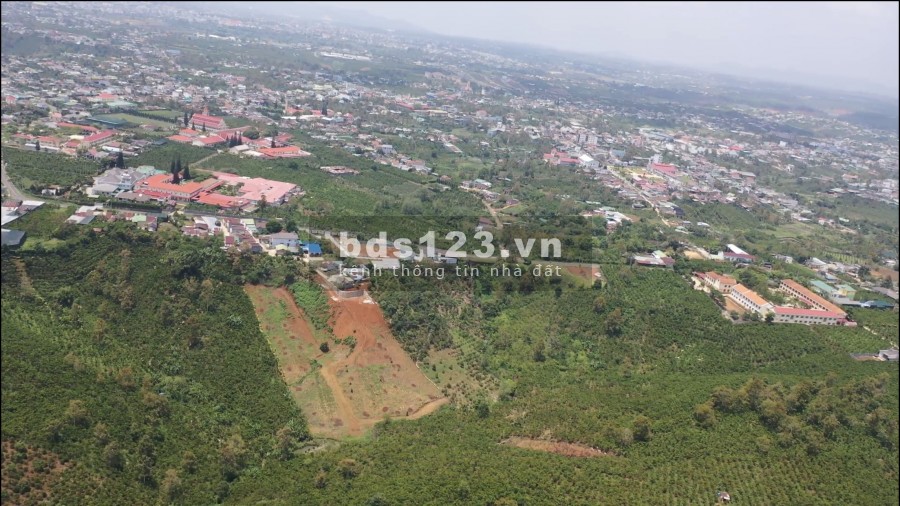 Cần bán gấp lô đất sào dt 1ha2 tại Thành Phố Bảo Lộc Lâm Đồng
