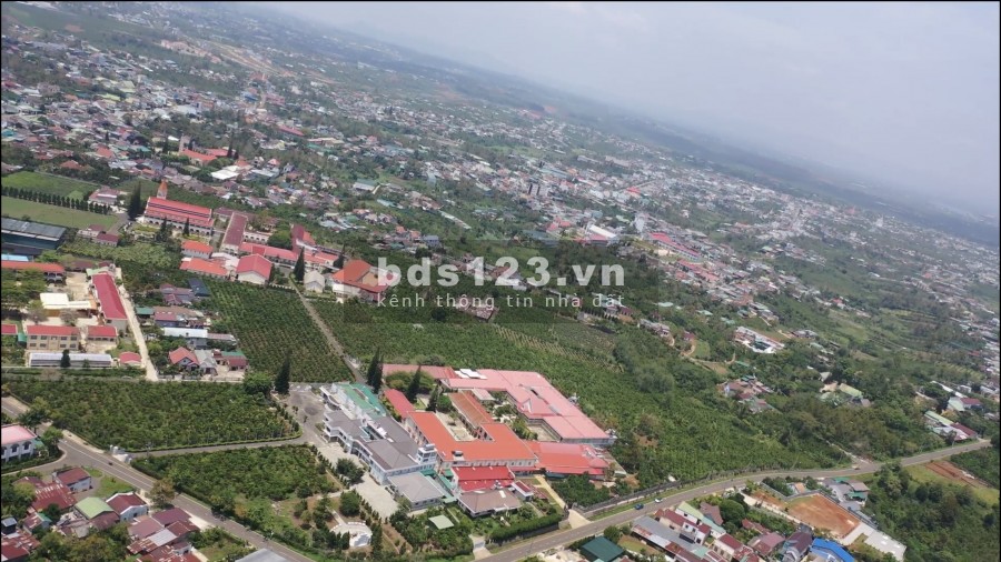 Cần bán gấp lô đất sào dt 1ha2 tại Thành Phố Bảo Lộc Lâm Đồng
