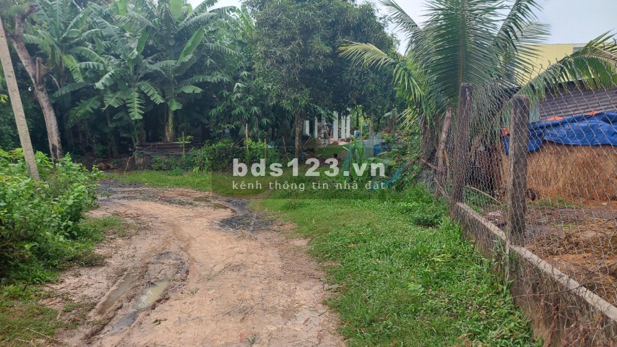 Bán đất 5x26 giá siêu rẻ 690 triêu, bàu sen, xã Đức Lập Hạ, Đức Hòa, Long An, lh 0974480757