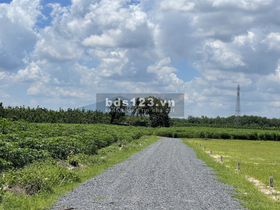 Còn vài lô đất đẹp view núi Bà Đen sổ chính chủ, giá 280 triệu/nền