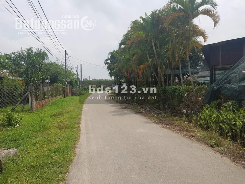Đất vườn Củ Chi TL7 giá rẻ 1229m2 giá 1ty370, SHR