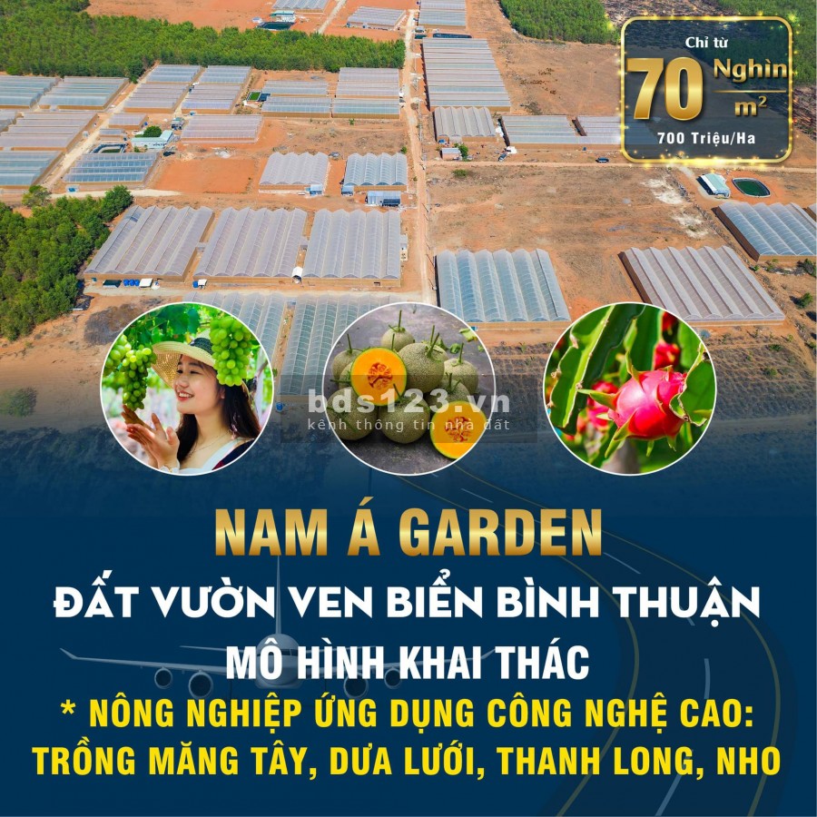 Đất ven biển Bình Thuận, giá bán chỉ 70 nghìn/m2, liên hệ 0902696405