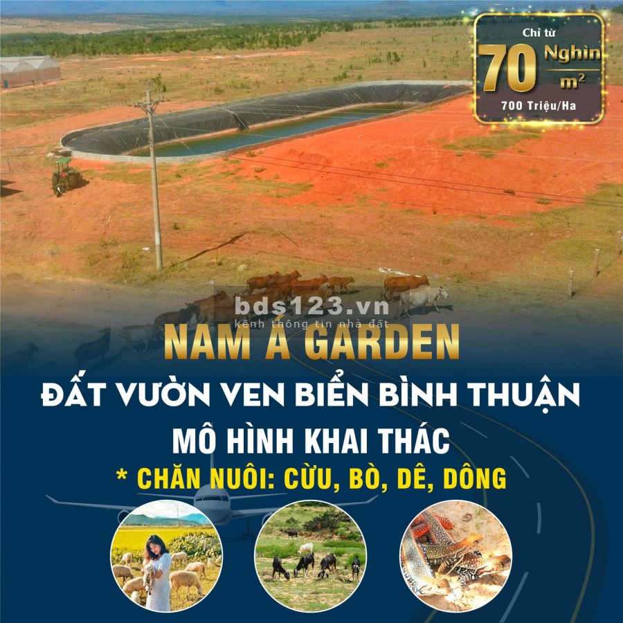 Đất ven biển Bình Thuận, giá bán chỉ 70 nghìn/m2, liên hệ 0902696405