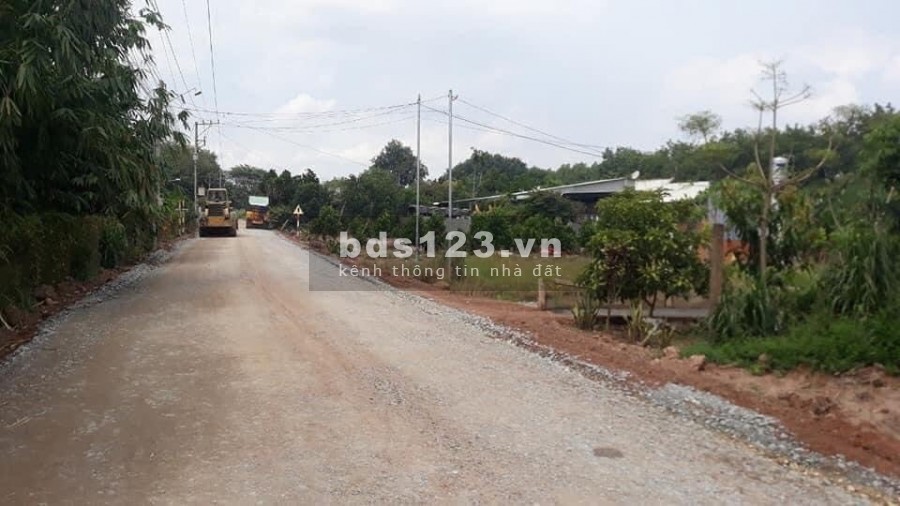 Bán đất Minh Hòa Dầu Tiếng giá chỉ 495 triệu, diện tích 1000m2