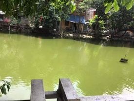 Nhà có view đẹp, trước mặt là hồ Quán Nhân, của hiềm, 4 tầng đúc kiên cố