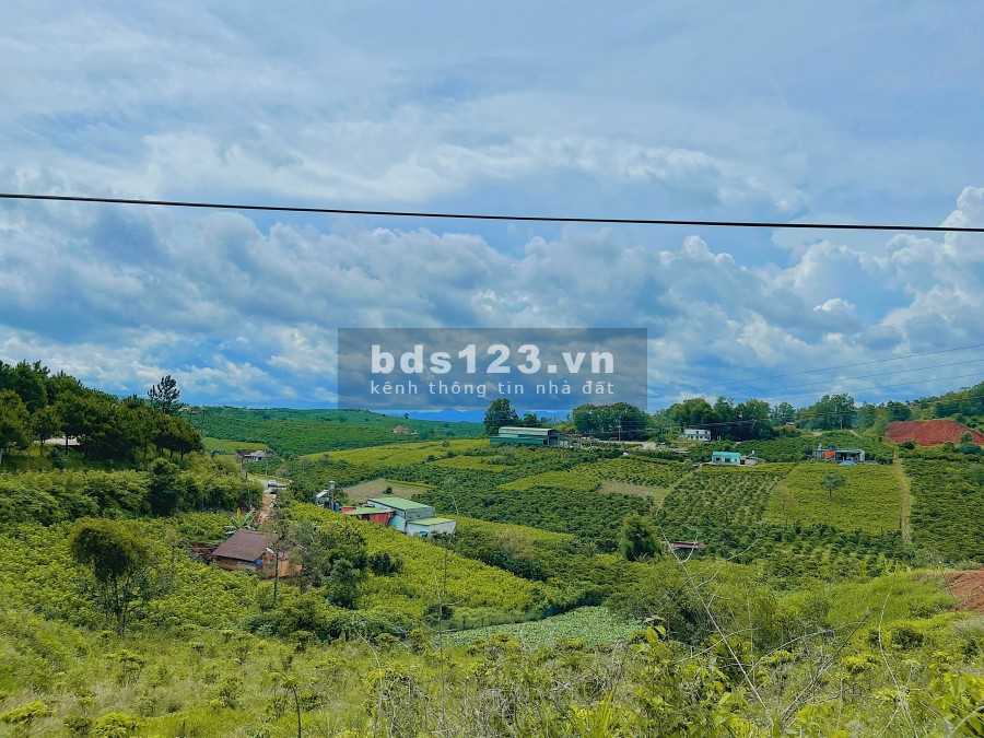 Gia đình em bán nhanh lô đất nghỉ dưỡng , đầu tư tại Bảo Lộc Lâm Đồng