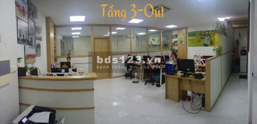Cần Cho Thuê Nhà Văn Phòng Diện Tích Sử Dụng Mỗi Tầng 85m2 Đến 95m2