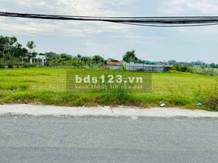Đất vườn Củ Chi TL7 giá rẻ 1229m2 giá 1ty370, SHR