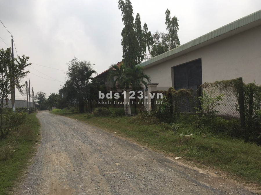 Chủ bán gấp 93m2 Bình Hữu 1 Đức Hòa Thượng, giá 770 triệu, SHR