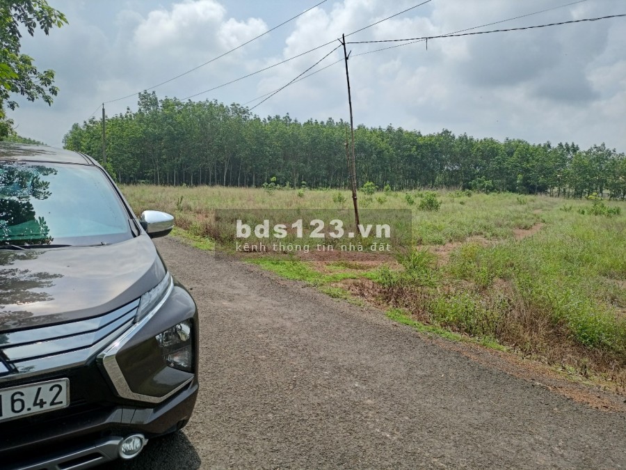 Cần bán lô đất tân Hưng đồng Phú giá rẽ nhất khu vực lh 0908.010.329