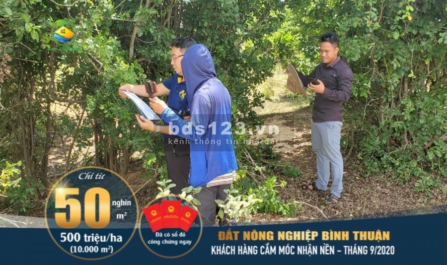 Nhân 3 tài sản với đất vườn Bình Thuận Nam Á Garden, chỉ 70 nghìn/m2