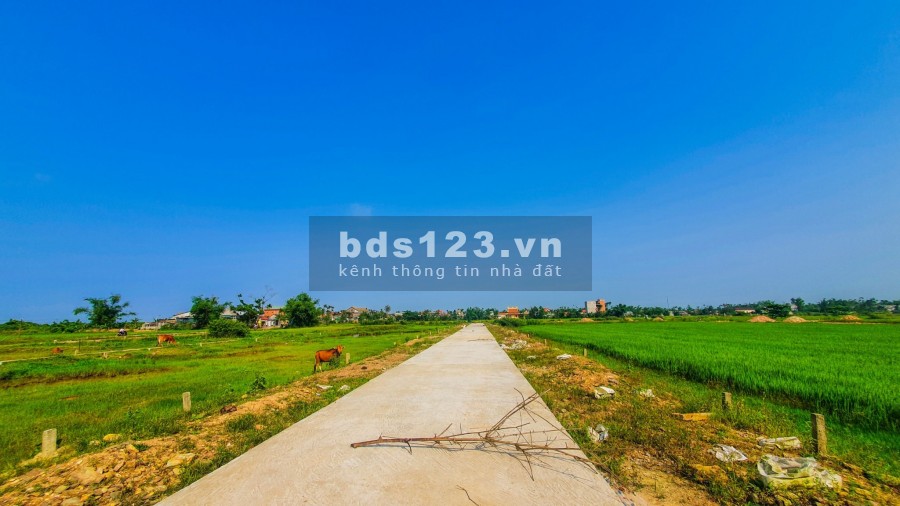 Bán gấp 2 lô đất kqh Phước Linh, Phú Mỹ, giá tốt nhất thị trường