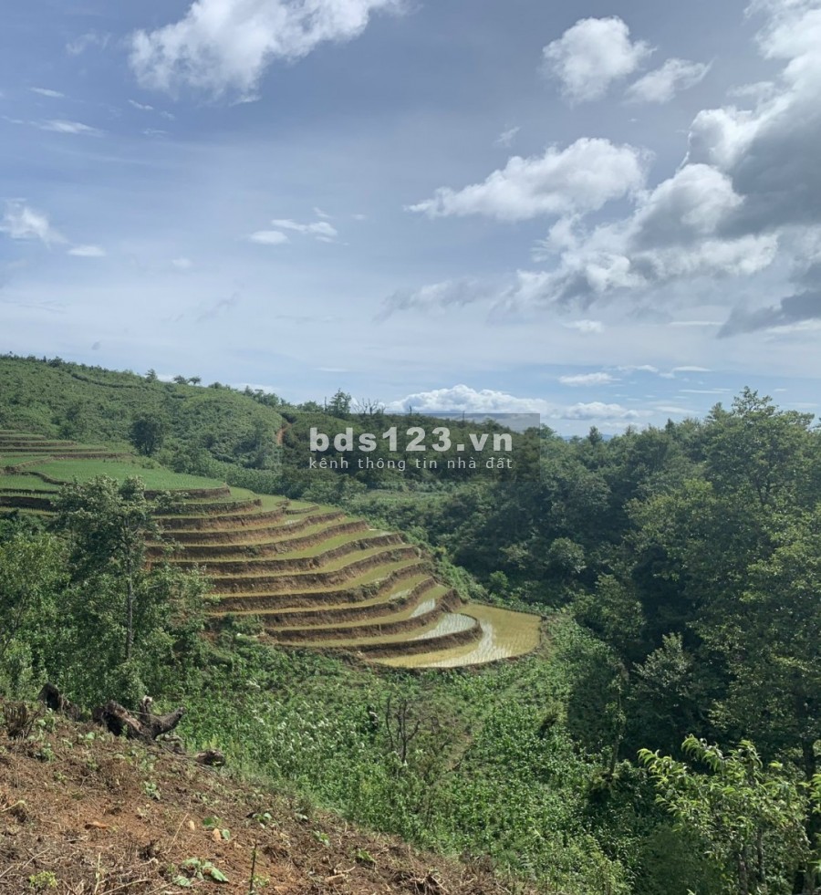 Lô 3200m2 Thôn trung chải (Quy hoạch đất ở)