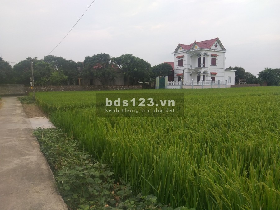 Bán Đất Đấu Giá Hiệp Hòa Cách Đường Quốc Lộ 100m, Lô Góc 2 Mặt Tiền Giá 5xxtr