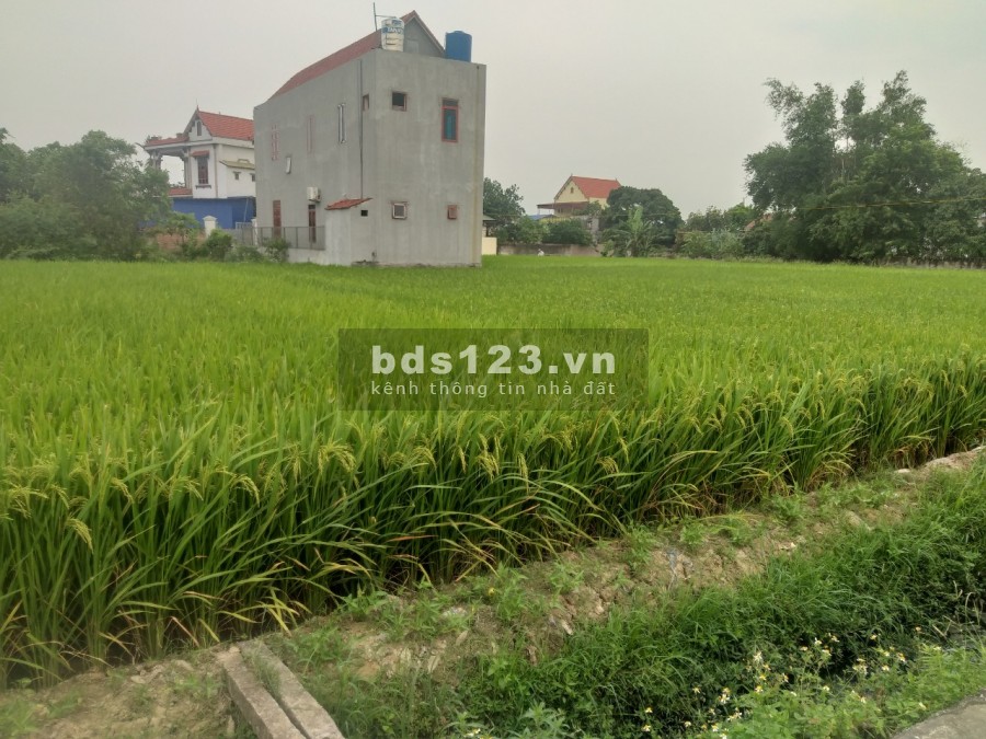 Bán Đất Đấu Giá Hiệp Hòa Cách Đường Quốc Lộ 100m, Lô Góc 2 Mặt Tiền Giá 5xxtr
