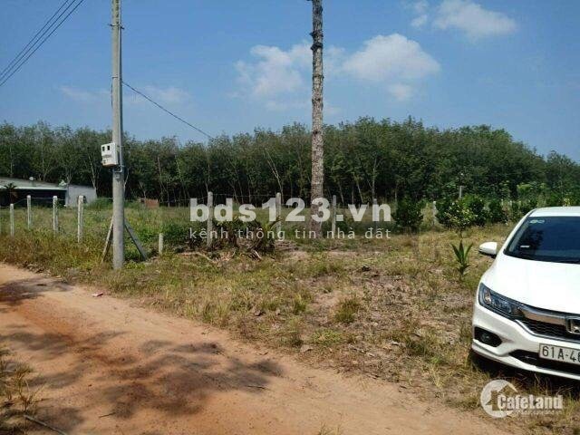 Bán Đất Trung Tâm Dầu Tiếng Bình Dương giá Đầu Tư, ngân hàng hỗ trợ 50%