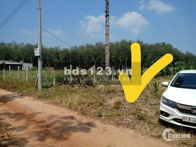 Bán Đất Trung Tâm Dầu Tiếng Bình Dương giá Đầu Tư, ngân hàng hỗ trợ 50%