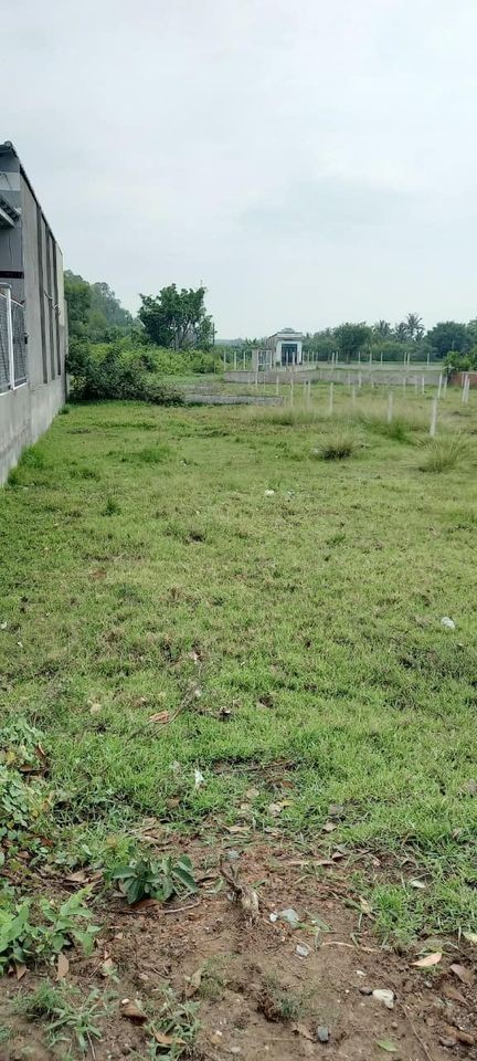 Cần tiền mùa dịch nên ra đi lô đất Củ Chi, sổ riêng 162m2 giá 1,3 tỷ