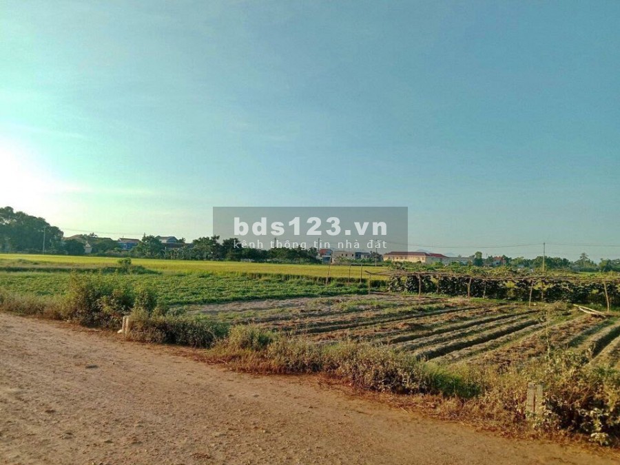 Bán đất KQH Dương nổ cồn, xã Phú Dương, huyện Phú Vang, gần chợ Nọ. lh 0702788074