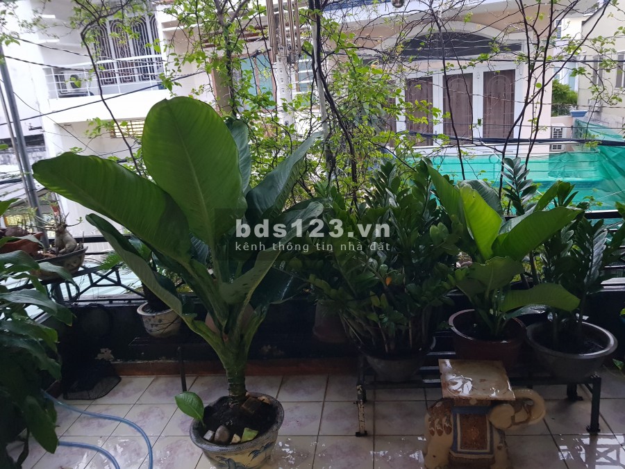 Cực rẻ. Trần Kế Xương, Phú Nhuận. HXH dt 73m2 nở hậu, chỉ 8 tỷ 8