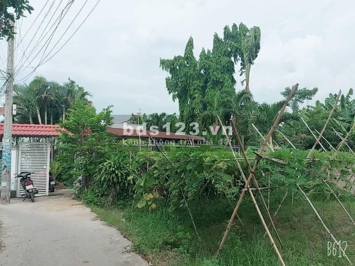 Bán sân vườn Lê Thị Hồng gần Hóc Môn, dt 313m2, ngang khủng 16m, chỉ 8.5 tỷ thương lượng